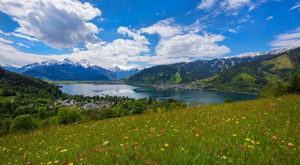 Apartment Dream-ski, In Zell Am See.